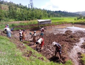 Frauenkooperative Amahoro kämpft gegen verheerende Folgen von Starkregen