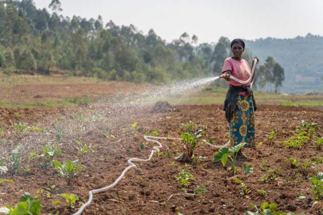 Neues Solarbewässerungssystem für Amahoro-Frauenkooperative